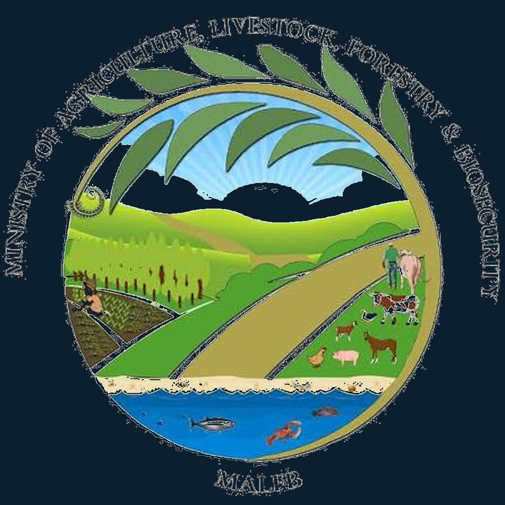 MALFB Logo