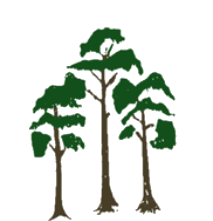 Department of Forestry